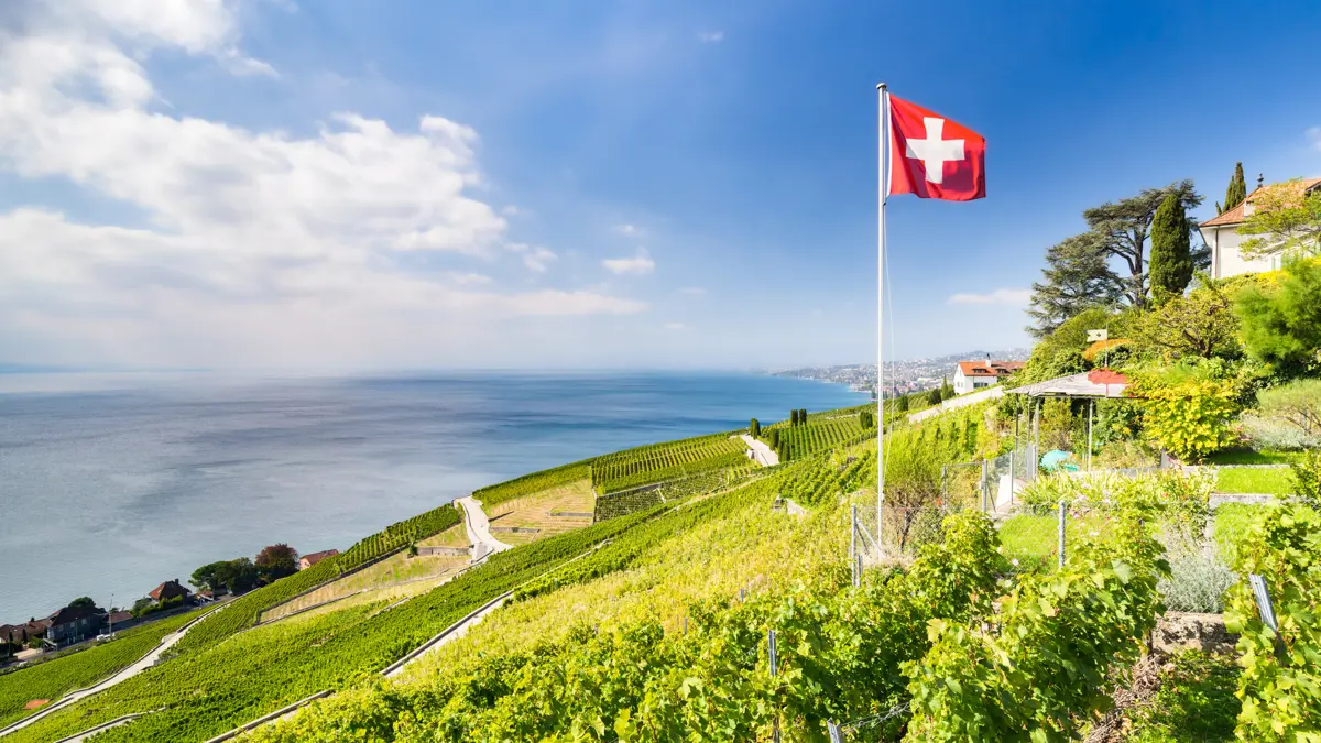 Swiss Wine