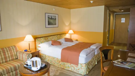 Superior south-facing room