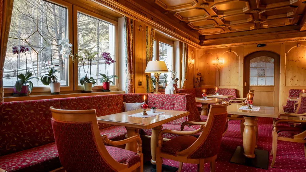 Hotel Cesa Tyrol Lounge [6]
