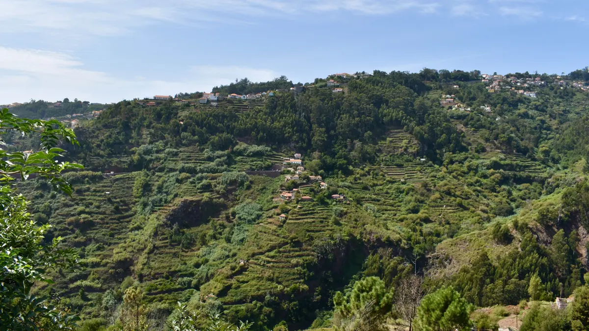 Funchal Paradise Valley Guided Walk