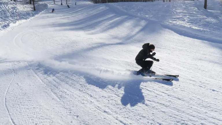 A scenic view of a landscape