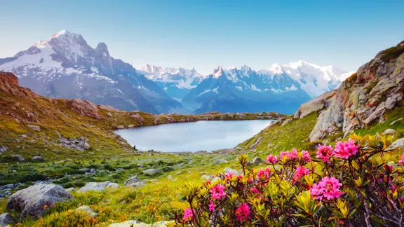 Majestic view of the Chamonix Alps in summer, with green alpine meadows, rugged mountain peaks, and patches of snow under a clear blue sky.