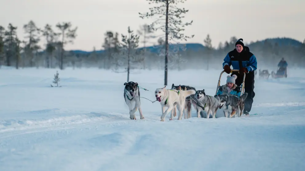 Wilderness Hotels Finland Husky Safari (3)