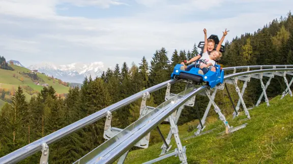 Drachenflitzer Alpine Coaster Copyright Wildschönau Tourismus Alex Mayr Rachte