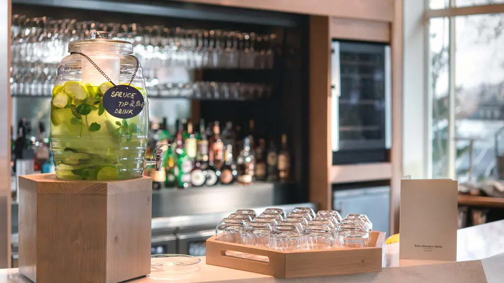 Hotel Rikli Balance Lake Bled Lobby Bar [3]