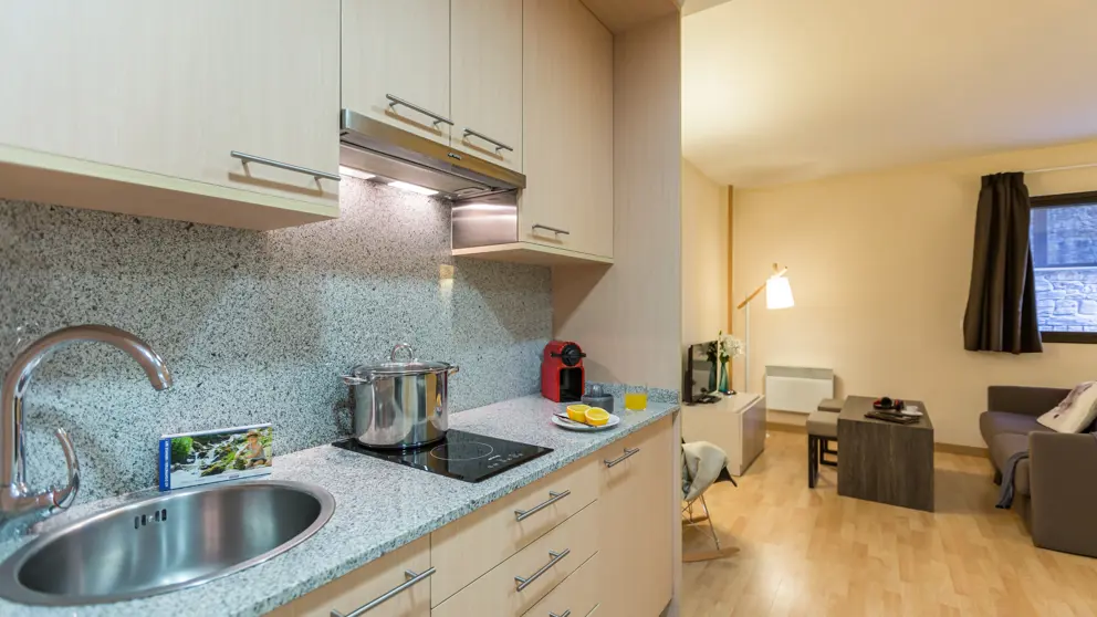 Residence Princesa, Pas De La Casa, Studio Apartment Standard [7]