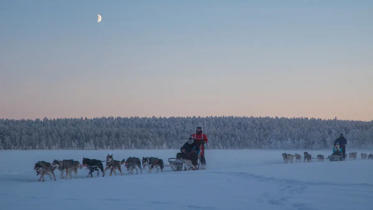 Harriniva Adventure Resort Muonio Husky Safari