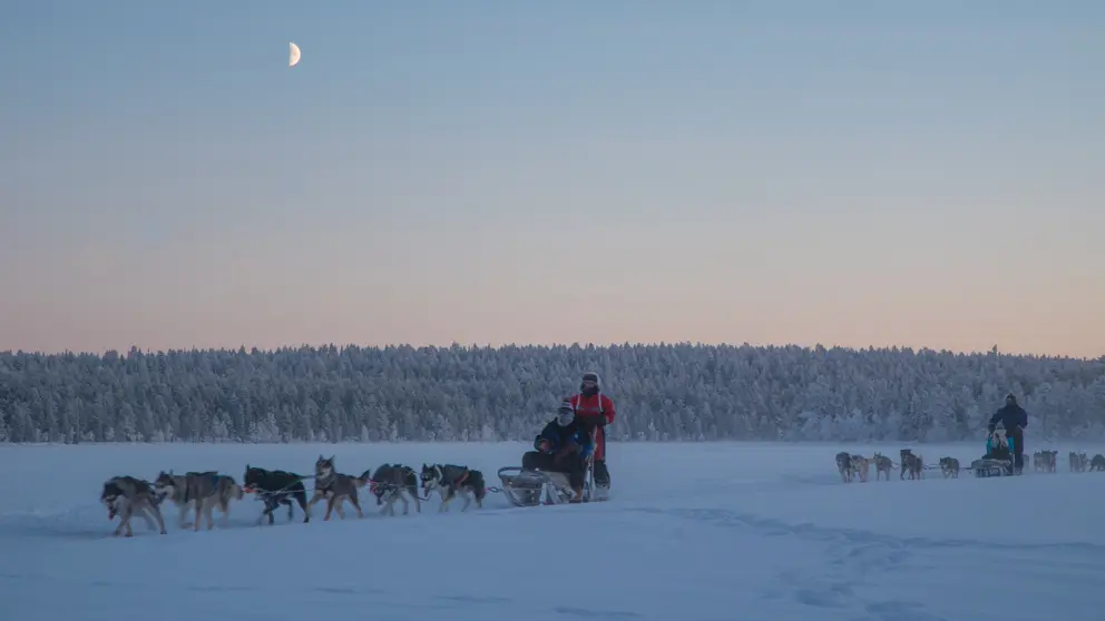 Harriniva Adventure Resort Muonio Husky Safari [5]