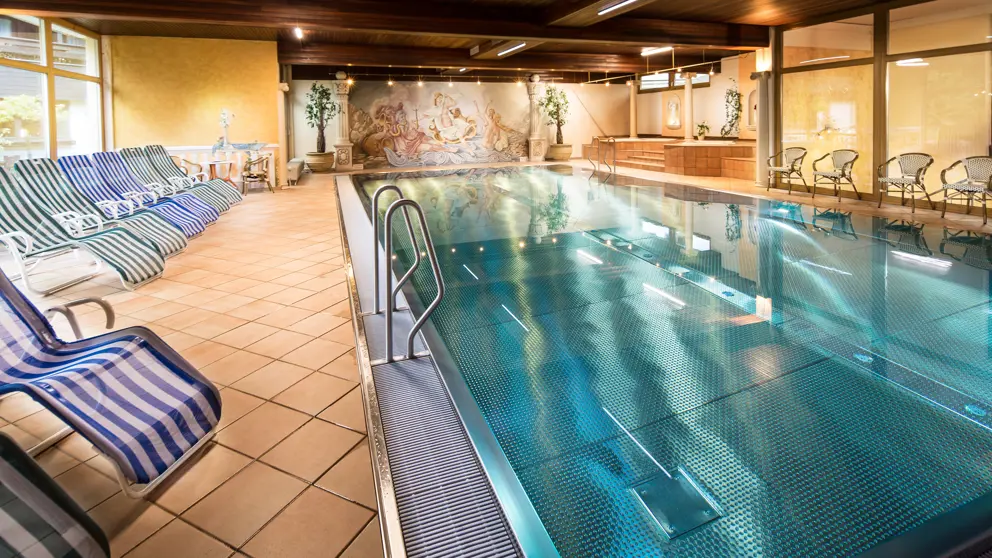 Hotel Hanneshof Filzmoos Pool [4]