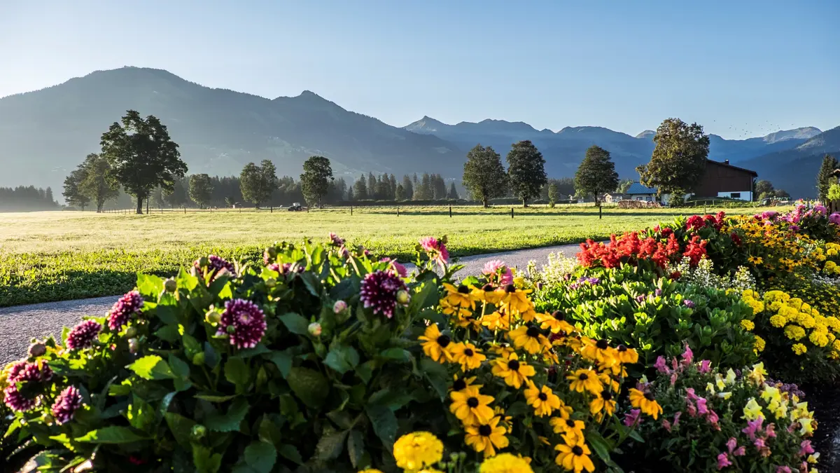 Westendorf Flowers