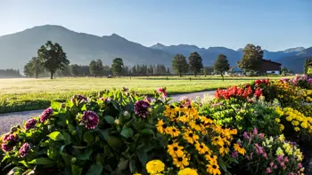 Westendorf Flowers Krings Maren