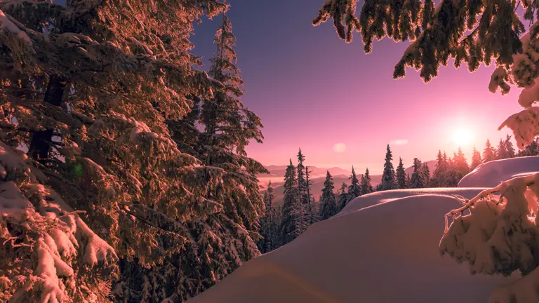 A scenic view of a landscape