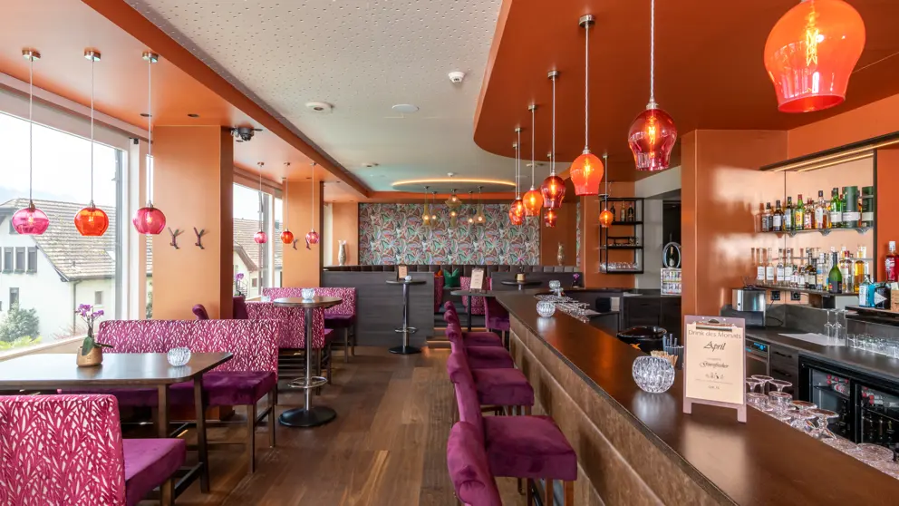 Hotel Alexander Weggis Bar Alexander 2 [8]