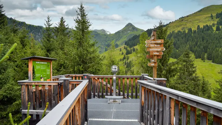 A scenic view of a landscape