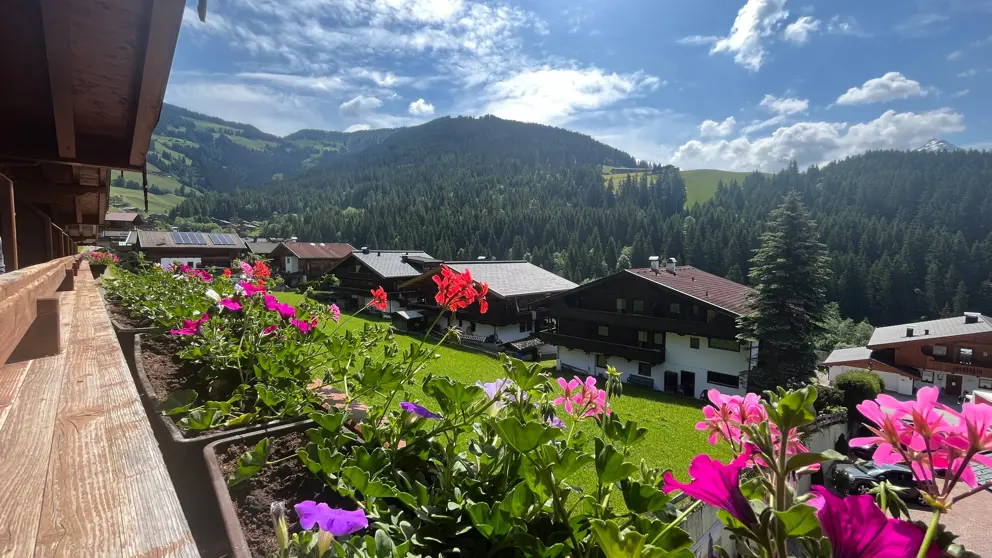 Hotel Alphof Alpbach Terrace View [8]
