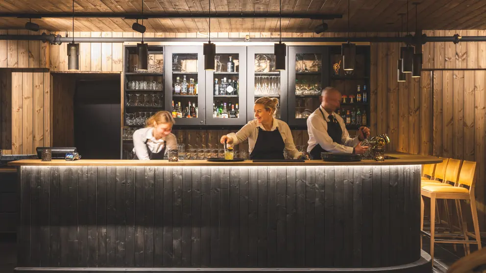 Hotel Bardola Geilo Bar 3 [4]