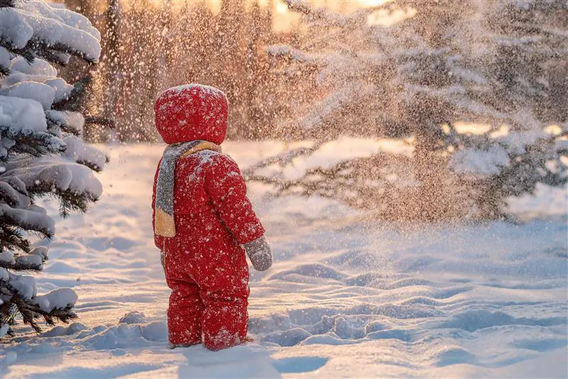 Hero Banner Background Video or Image