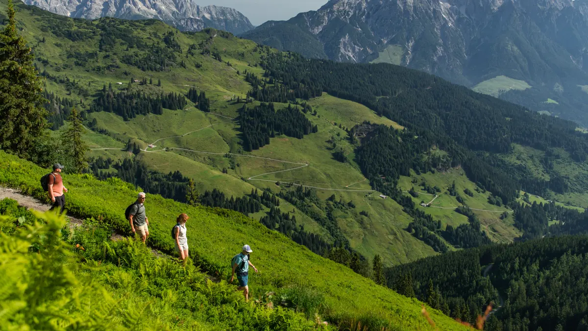 20240715 Singles 0061