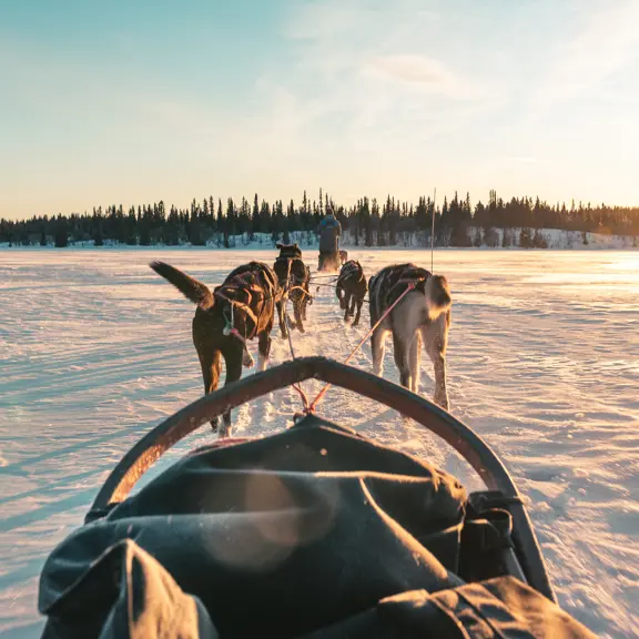 Hero Inclusive Package 20205