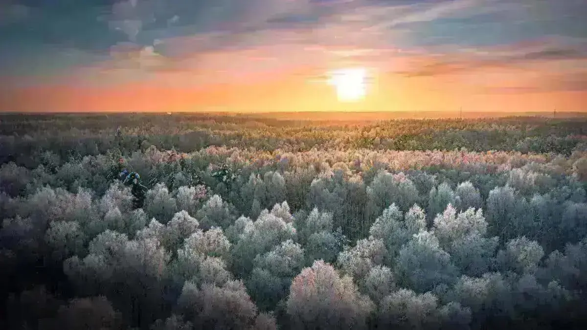 Sustainability