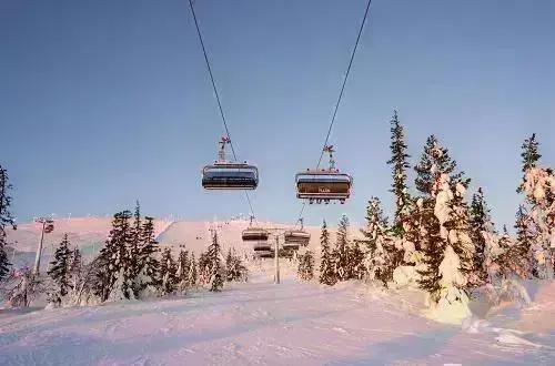 Yllasdecember 500X330