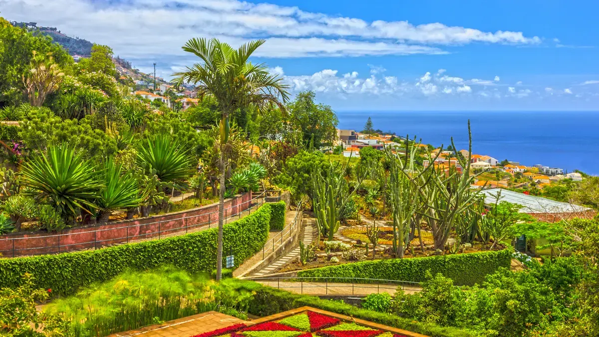 Funchal Tropical Gardens In Monte