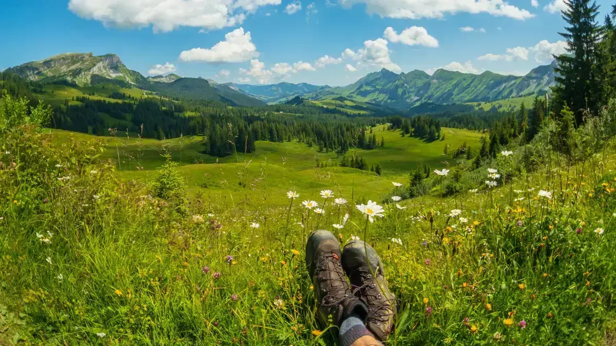 Switzerland Walking