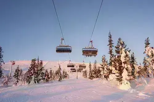 Yllasdecember 500X330