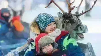 Family Lapland Holiday Lapland Inghams