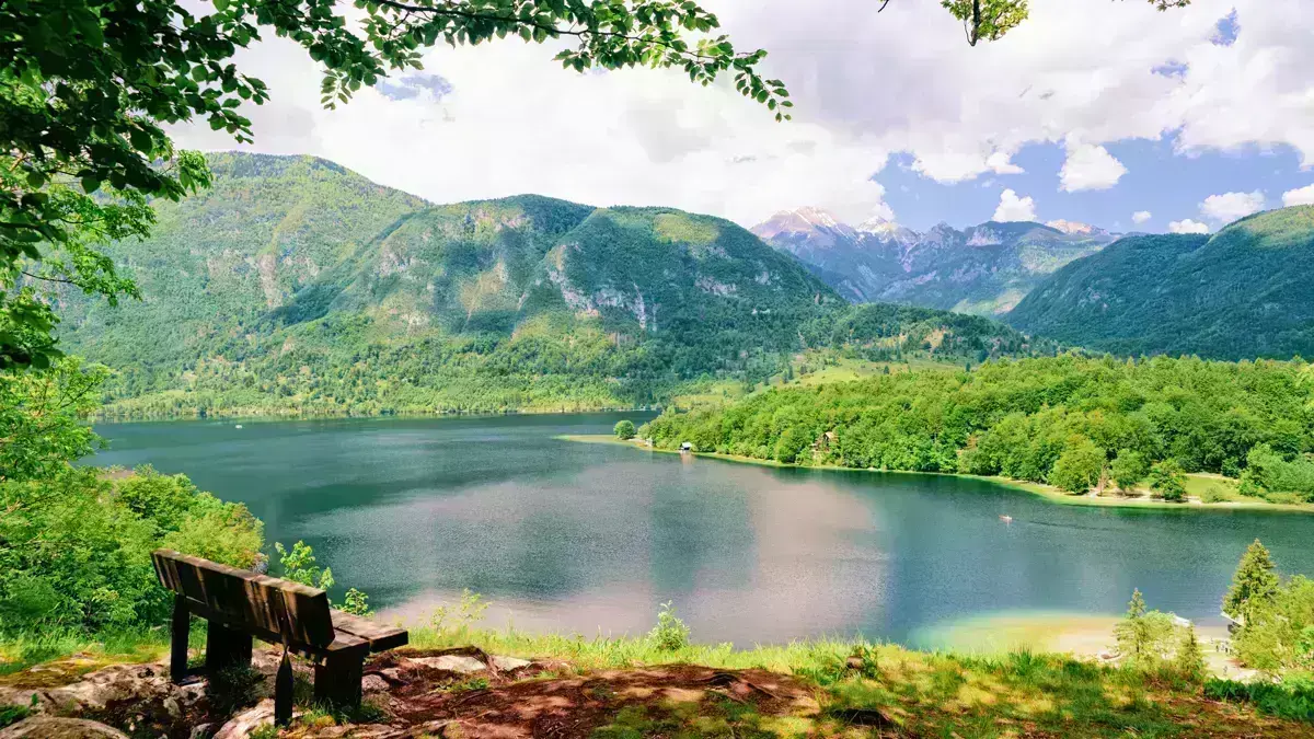 Lake Bohinj Viewpoint And Bench Copyright Roman Babakin Adobestock 313198684