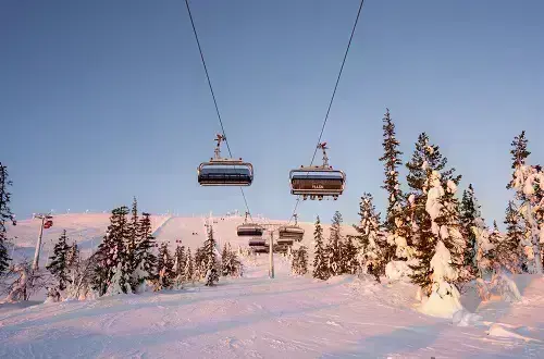 Yllasdecember 500X330