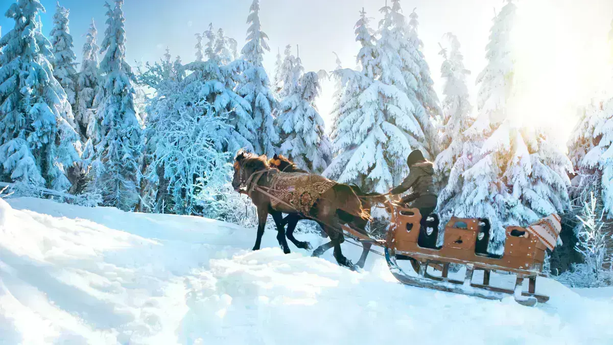 Lapland Horse Excursion Inghams