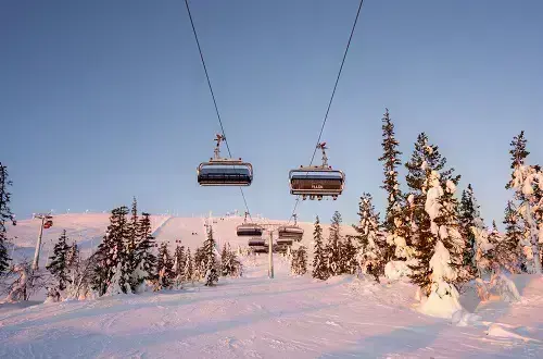 Yllasdecember 500X330