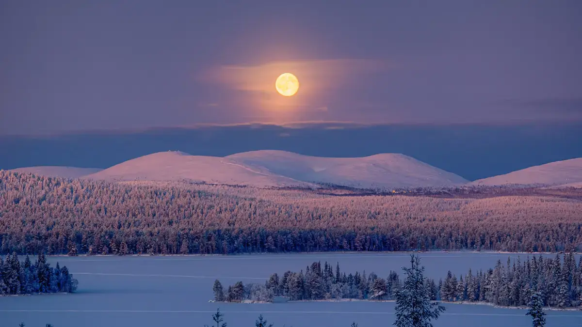 Lapland Full Moon Inghams