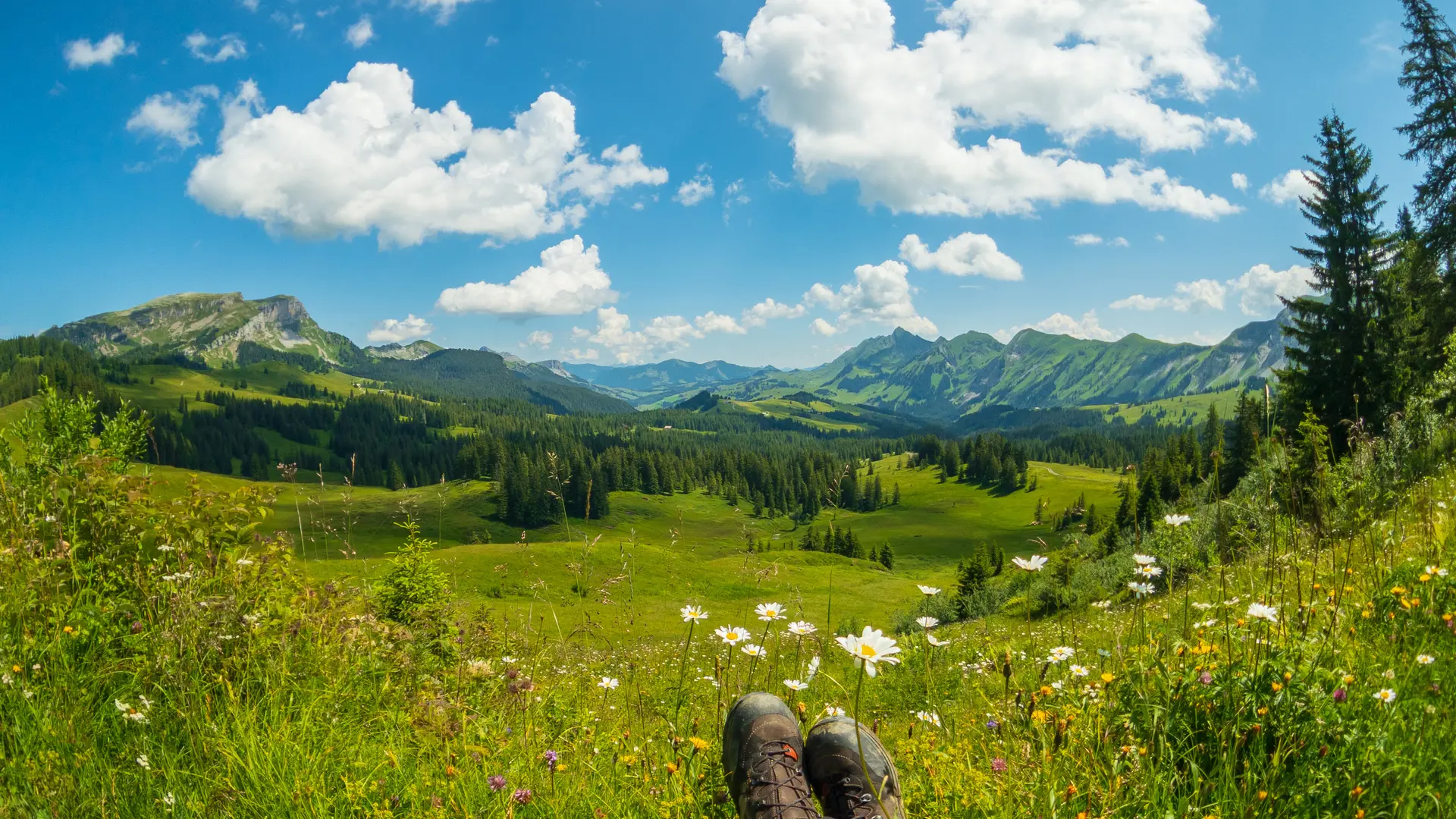 Hero Banner Background Video or Image