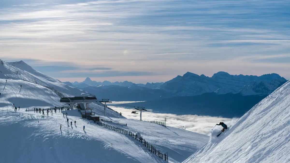 Acres of Offpiste ©ReubenKrabbe