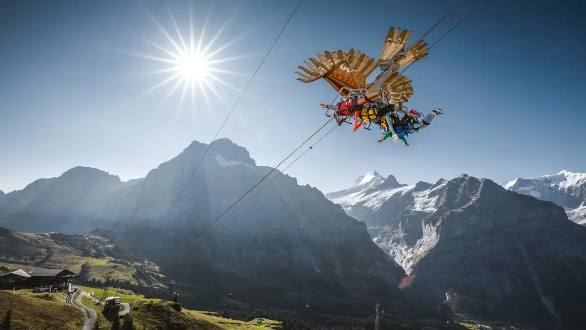 Grindelwald First Glider Zip Line Copyright Jungfraubahnen