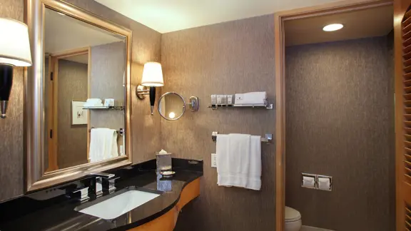 Deluxe bathroom