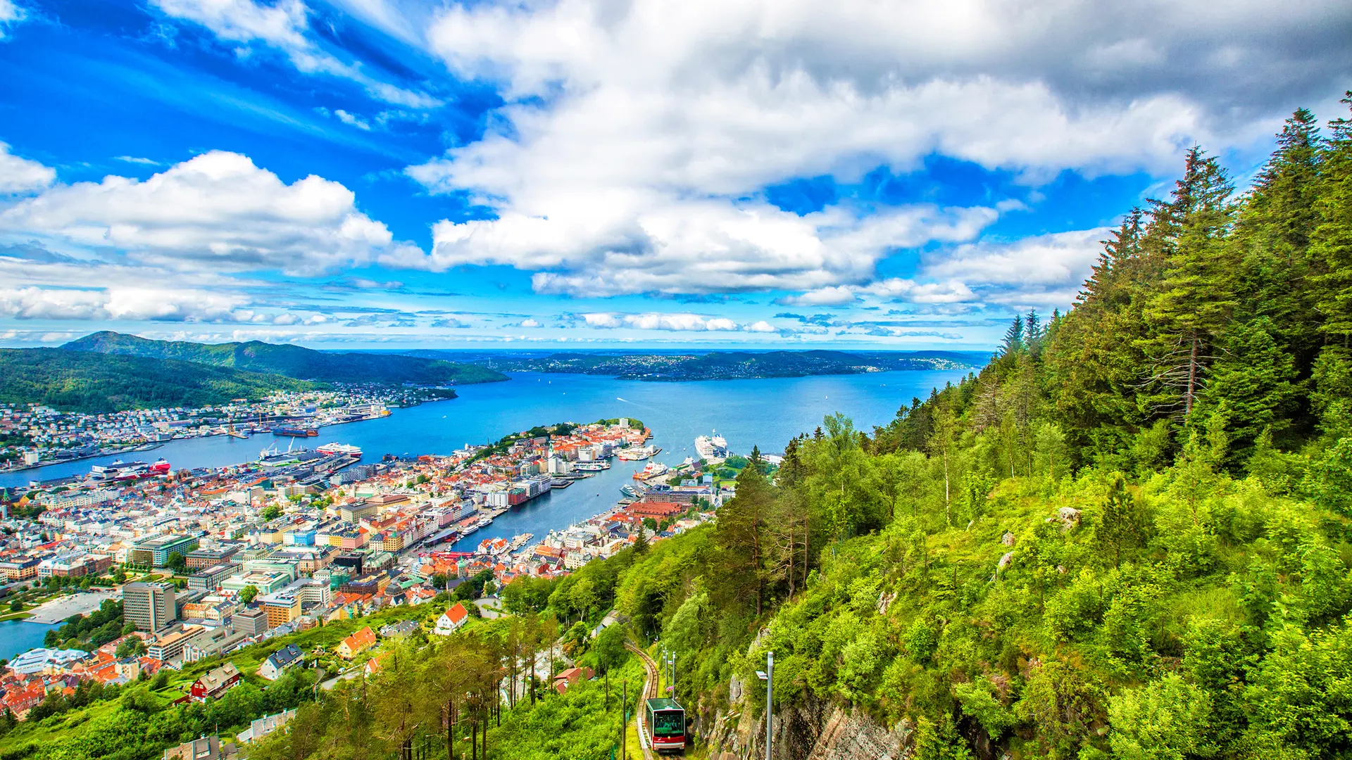 Hero Banner Background Video or Image