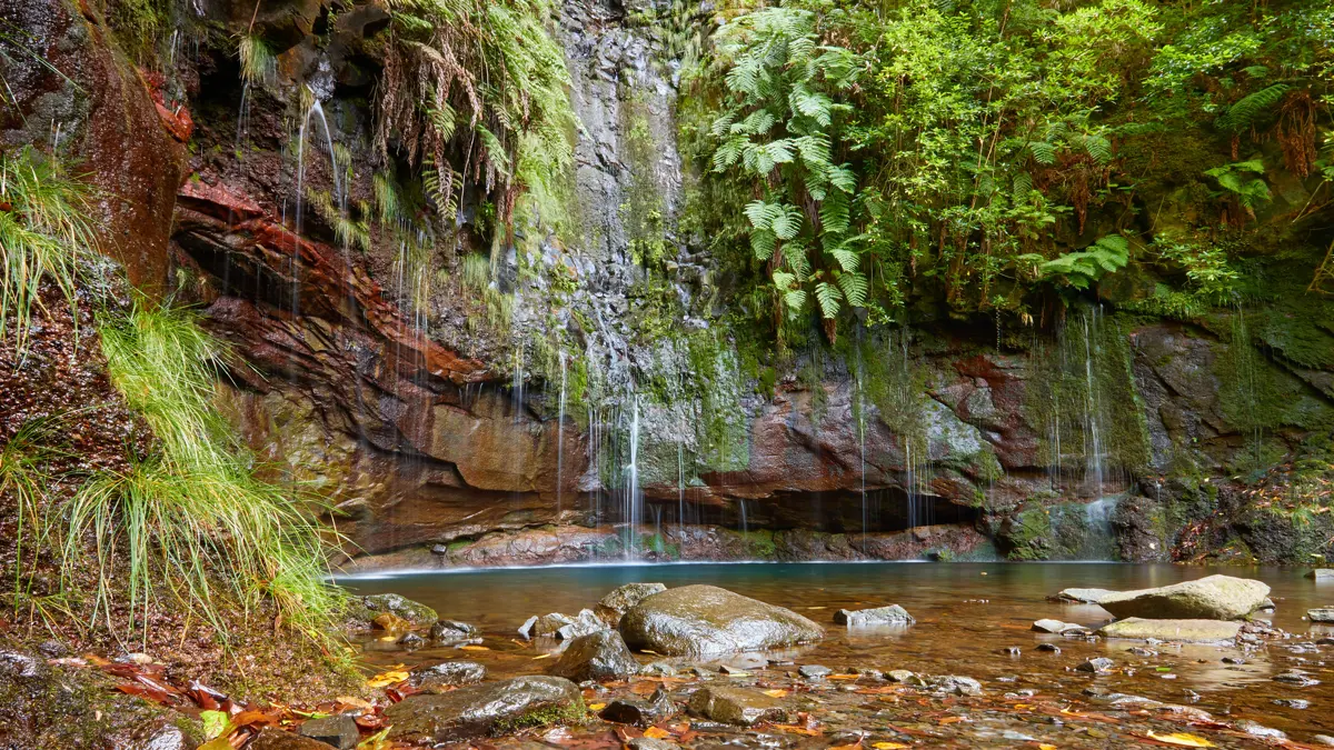 Madeira Waterfall (1)