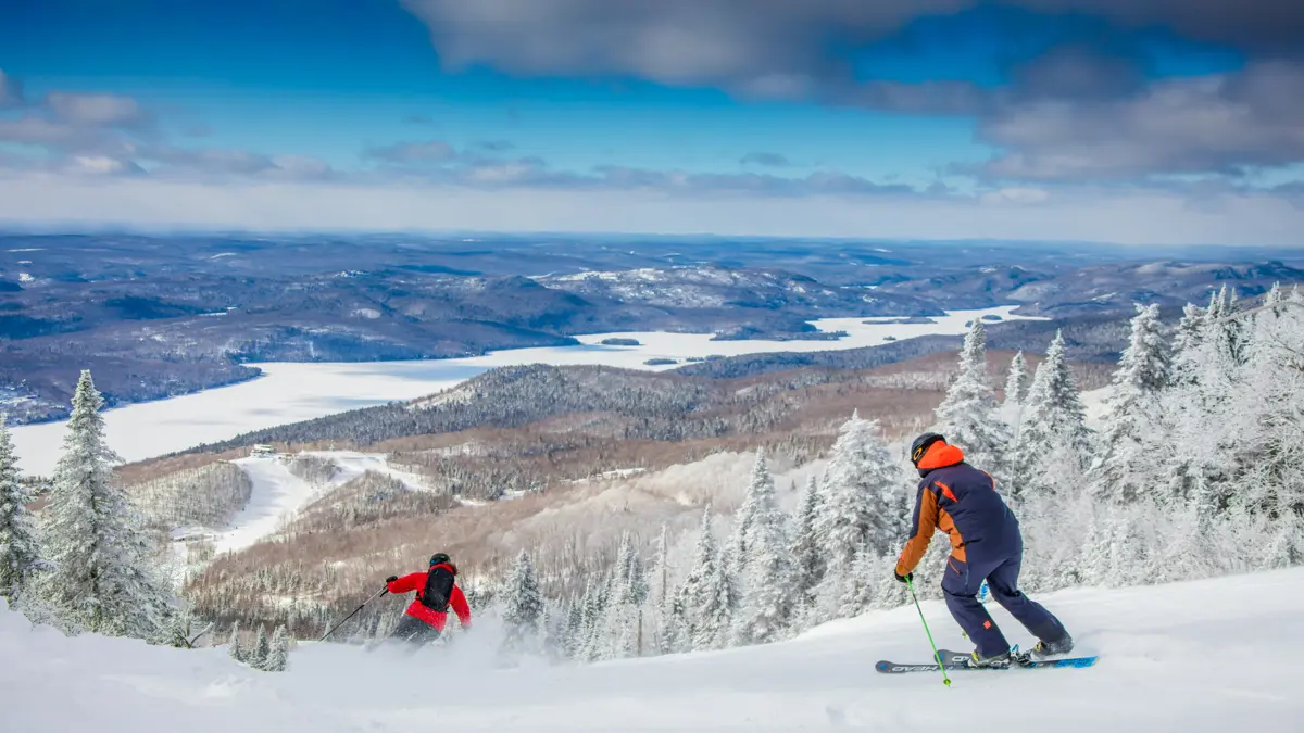 Tree Lined Runs ©ValentineMatic
