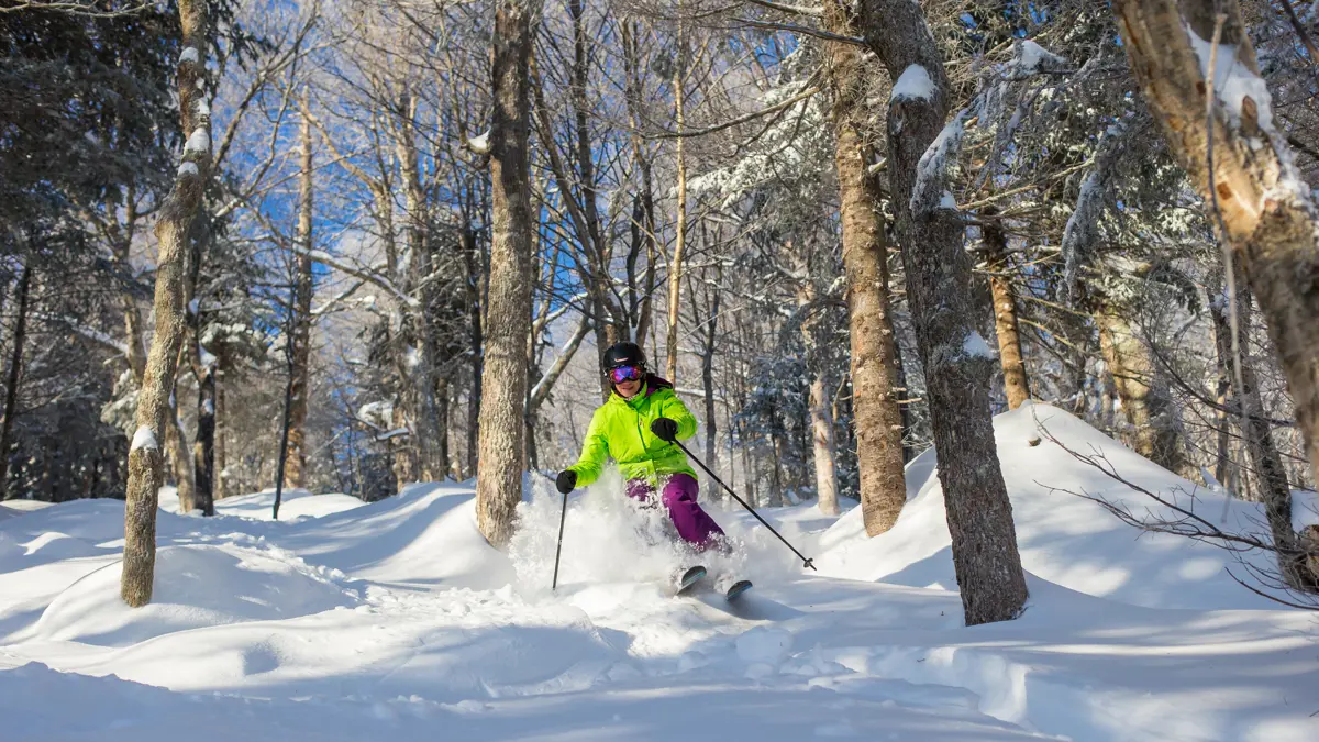 Skiing Through the Trees ©ValentineMatic