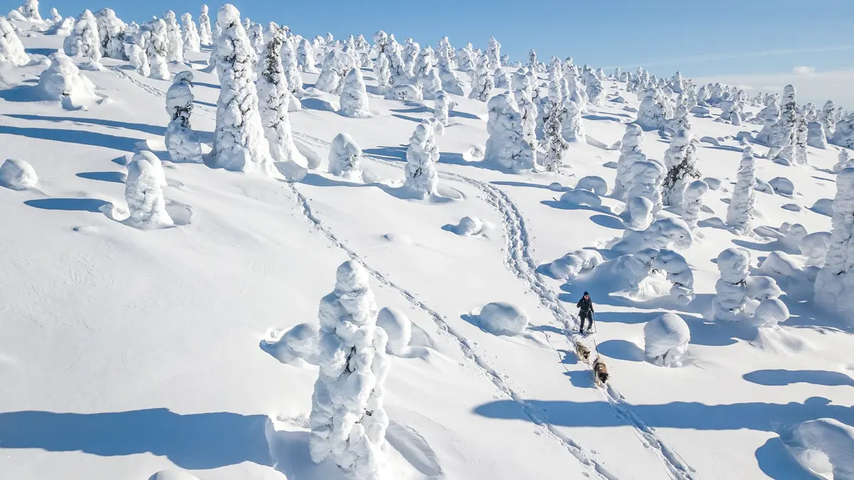 Yllas Finland Snowy Scenary (C) Visit Yllas.J