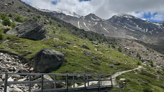 Alpine flower promenade Saas Fee
