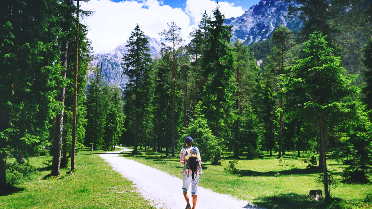 Family woodland walks, Kronplatz, Dolomites Walking Holidays