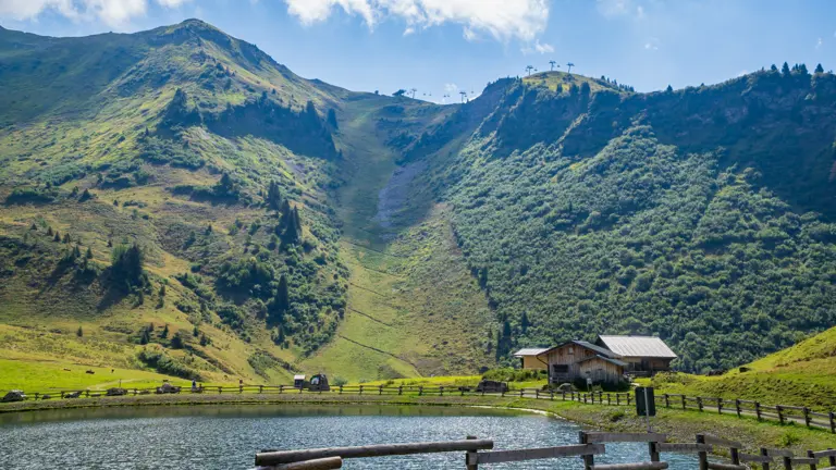 A scenic view of a landscape