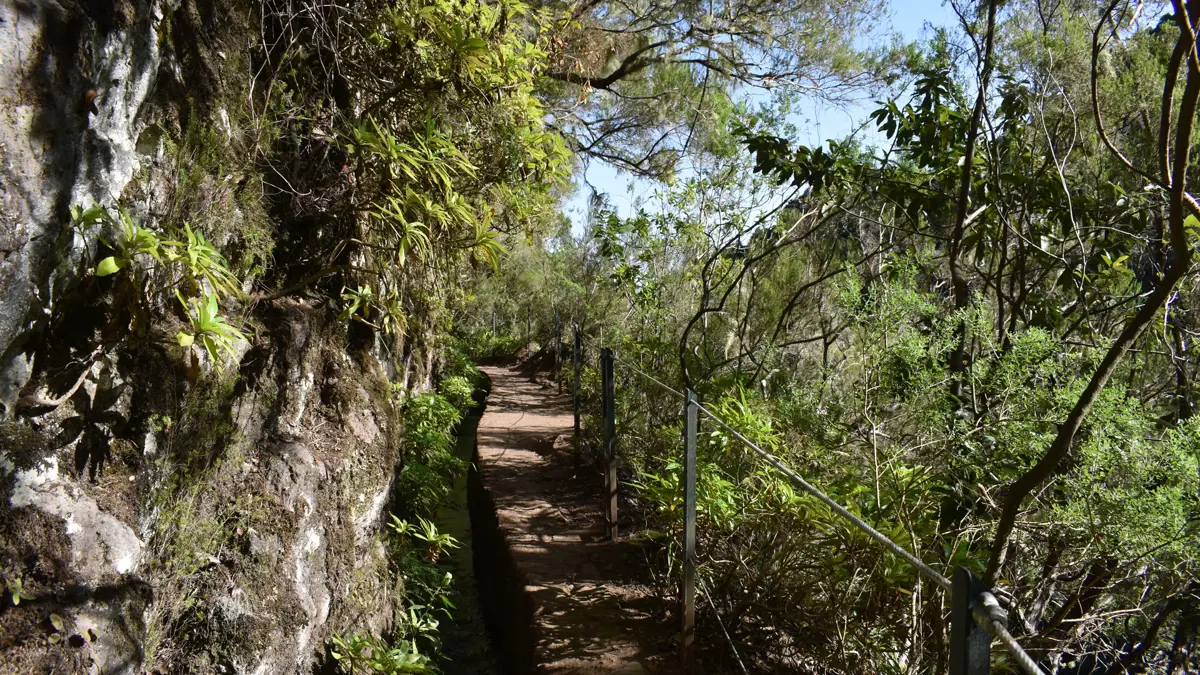 Funchal Caldeiro Verde Guided Walk