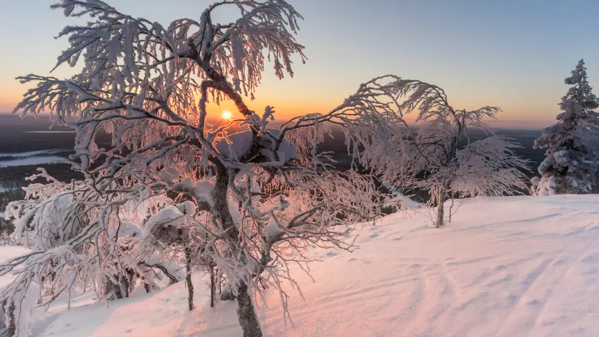 Arctic adventures and skiing in Pyhä