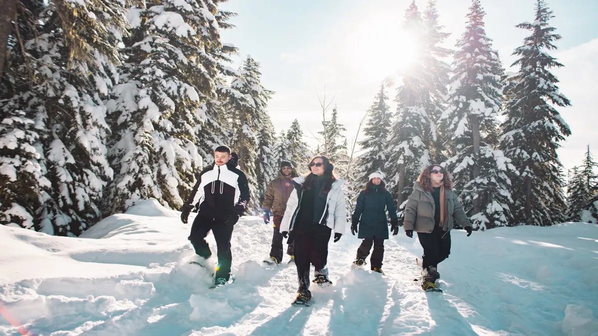 Snowshoe