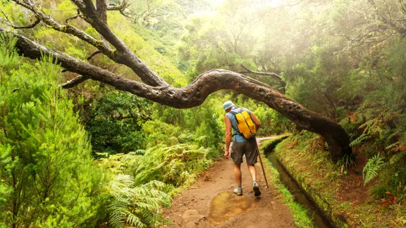 Man walking along a narrow path beneath a levada in Madeira, surrounded by lush green vegetation and dappled sunlight filtering through the trees.